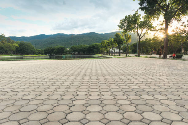 Best Driveway Repair Near Me  in Lauderdale, MN